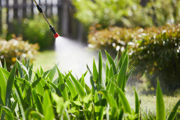 24/7 Emergency Termite Control experts in Punta Rassa, FL
